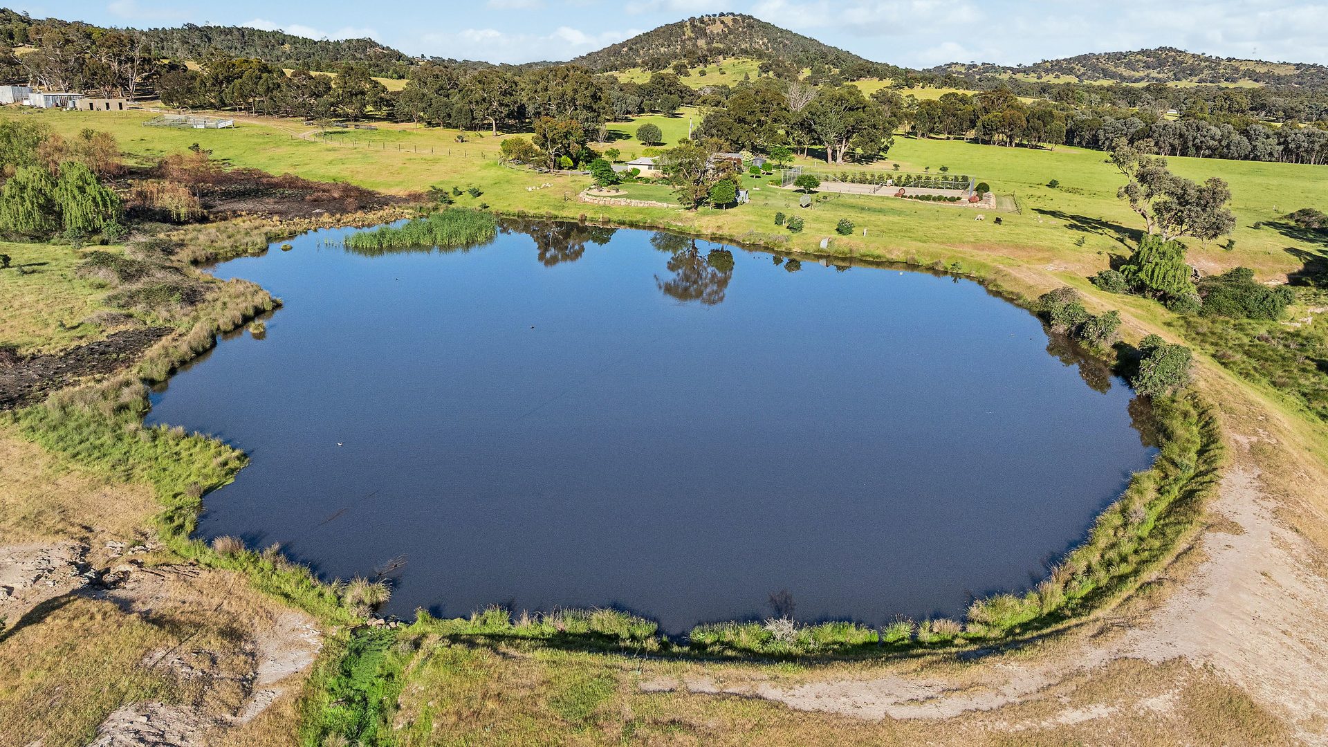 For Sale - 144 Reserve Road - New Property in Gelston Park - Real Estate by Andrew Pellow