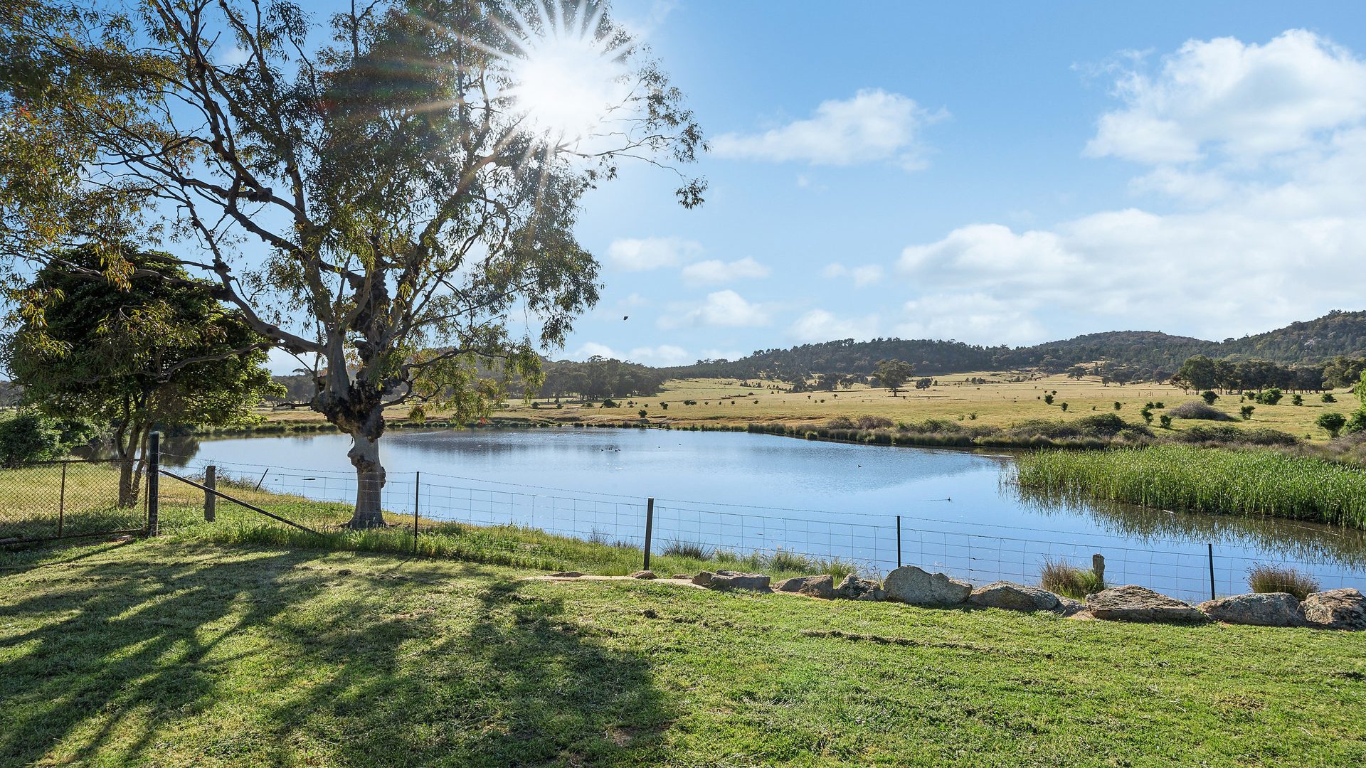 For Sale - 144 Reserve Road - New Property in Gelston Park - Real Estate by Andrew Pellow