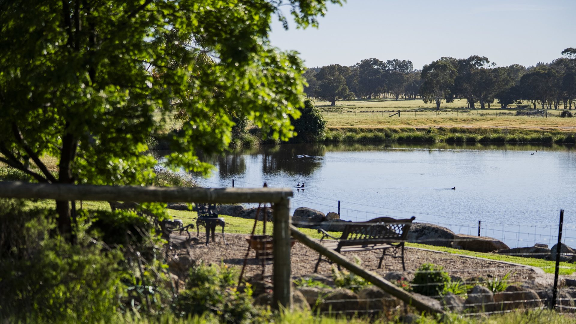 For Sale - 144 Reserve Road - New Property in Gelston Park - Real Estate by Andrew Pellow