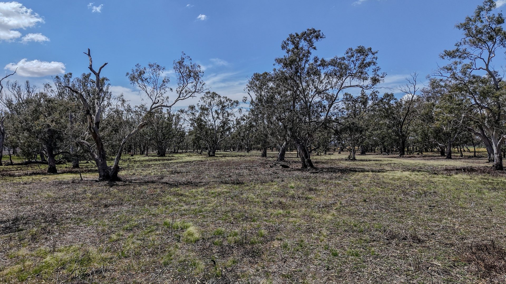 For Sale - 1359 Saddleback Road - New Property in Forbes - Real Estate by Ian Simpson