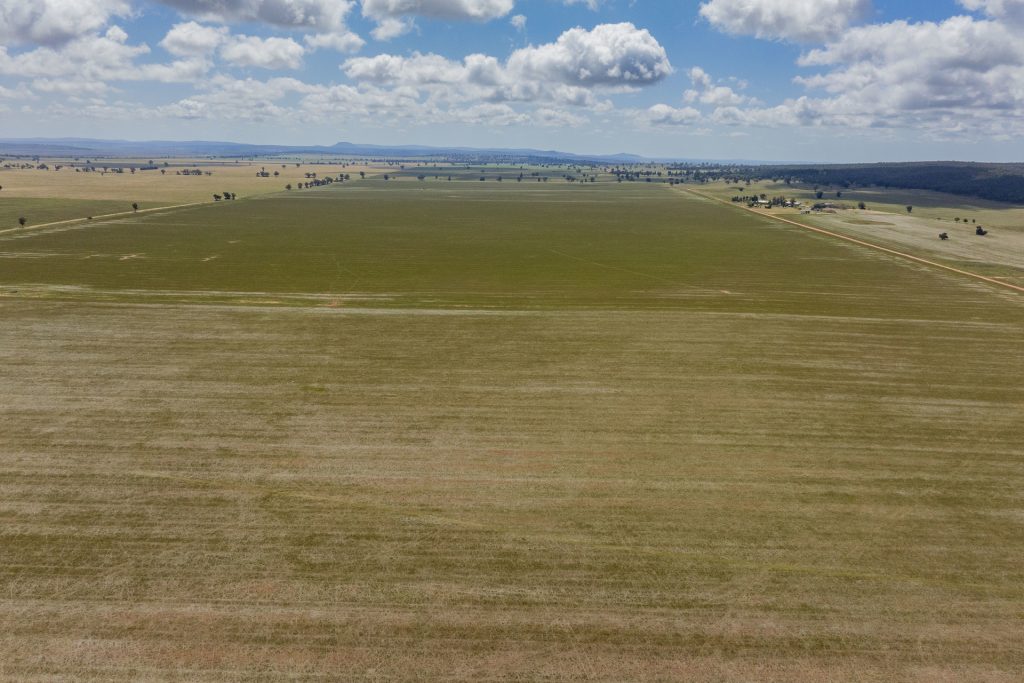 Sold - 869 Newell Highway - New Property in Narrandera - Real Estate by Craig Pellow