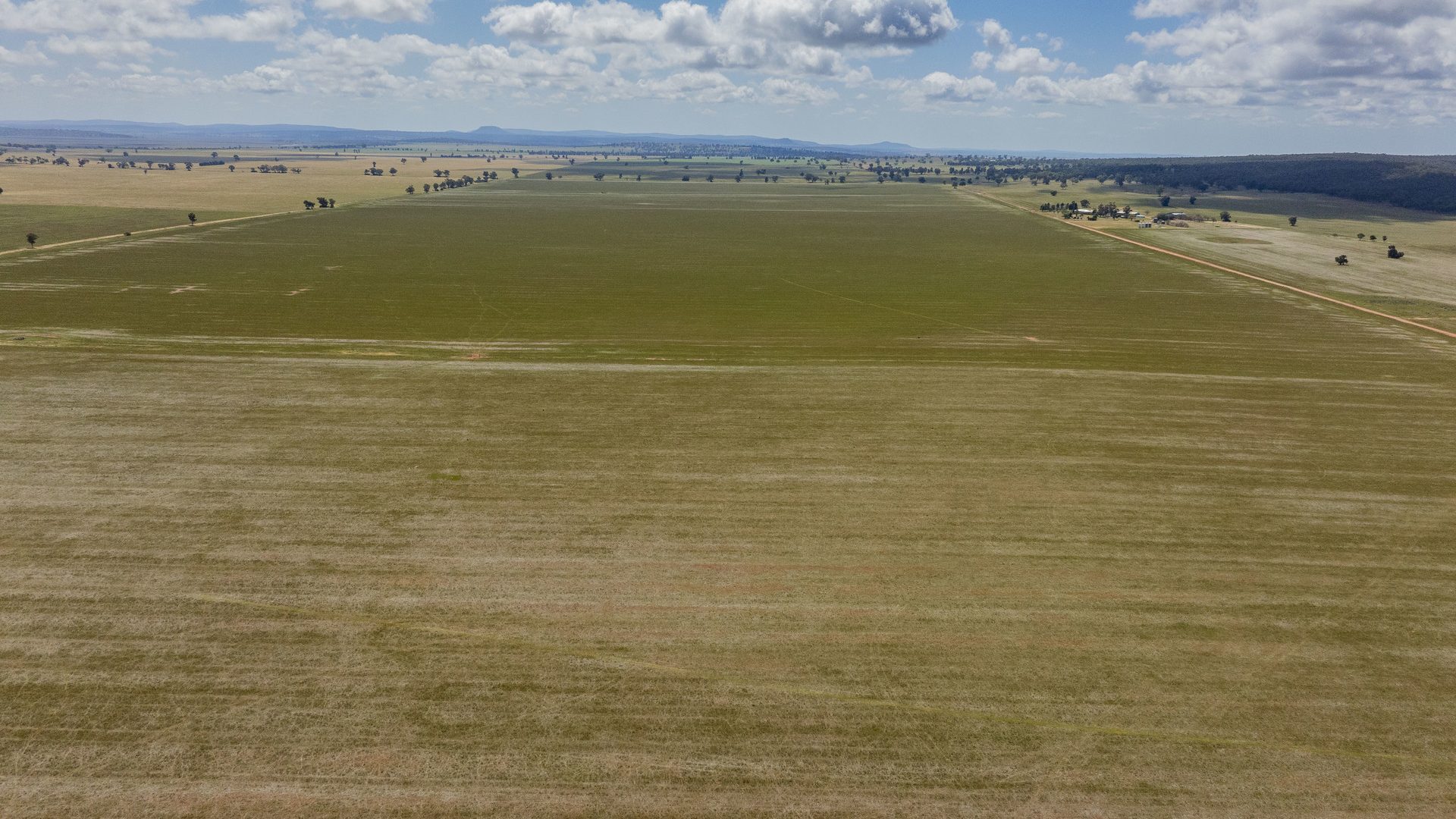 Sold - 869 Newell Highway - New Property in Narrandera - Real Estate by Craig Pellow