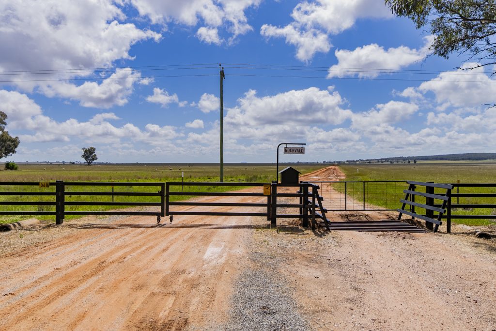 Sold - 869 Newell Highway - New Property in Narrandera - Real Estate by Craig Pellow