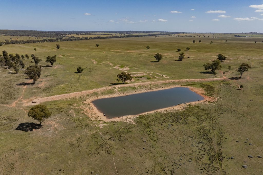 Sold - 869 Newell Highway - New Property in Narrandera - Real Estate by Craig Pellow