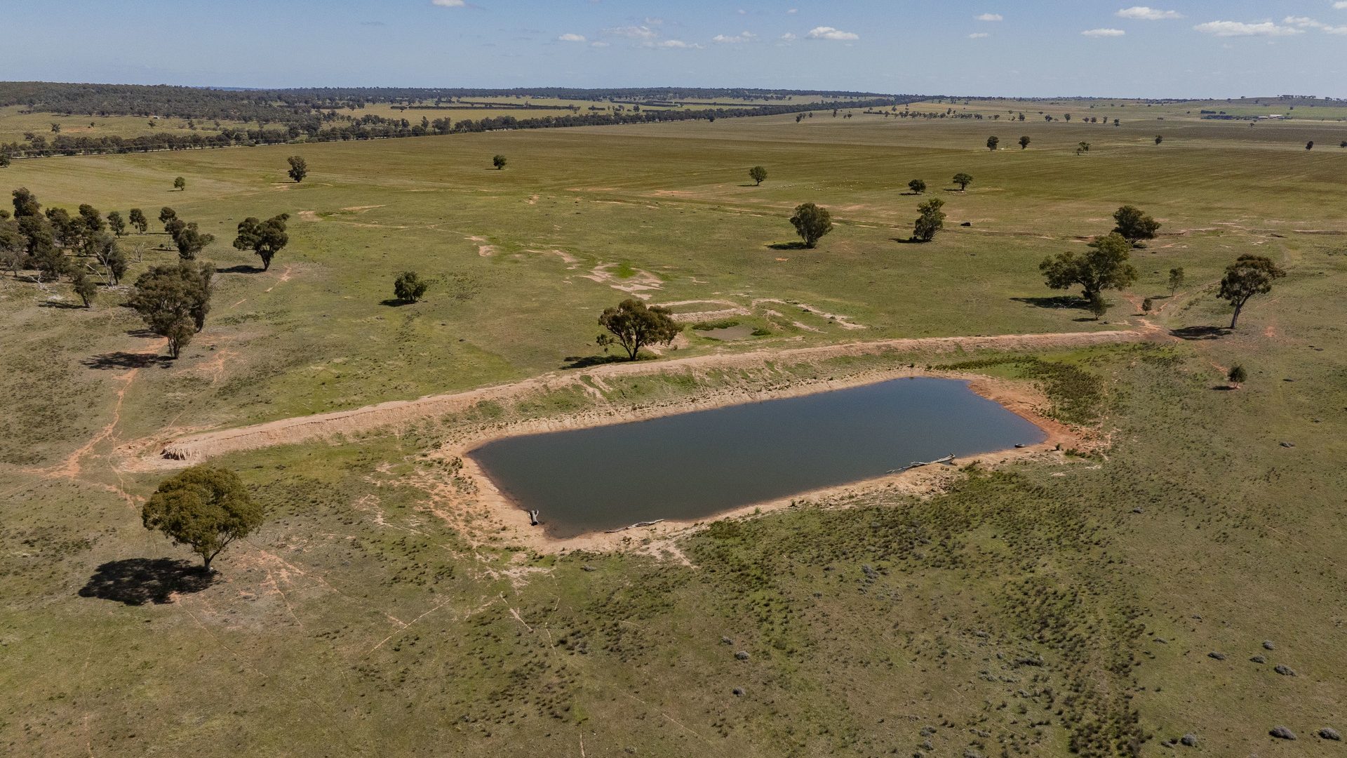 Sold - 869 Newell Highway - New Property in Narrandera - Real Estate by Craig Pellow