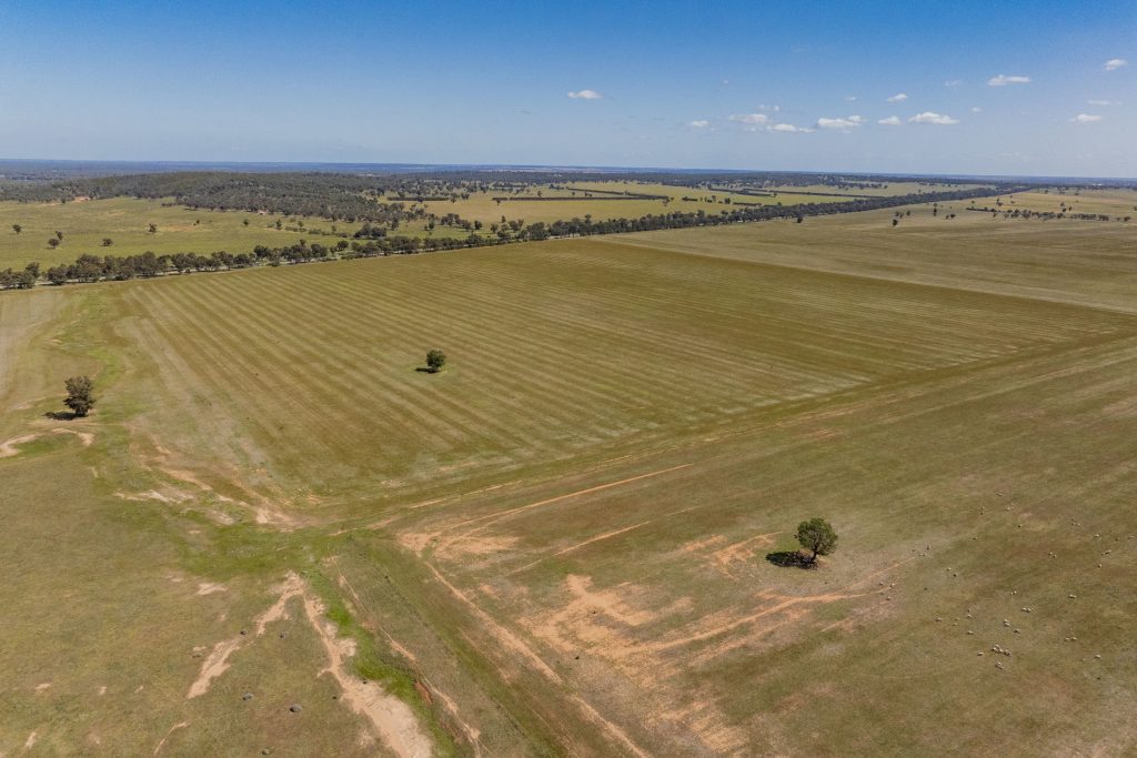 Sold - 869 Newell Highway - New Property in Narrandera - Real Estate by Craig Pellow
