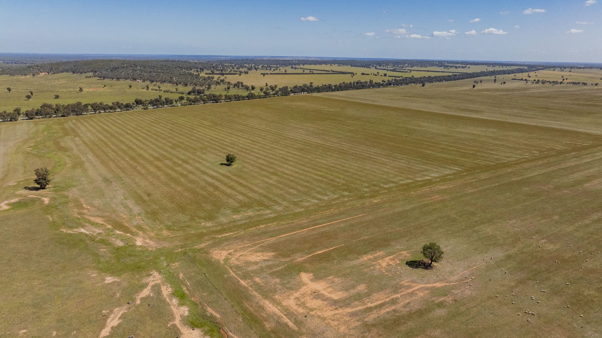 Sold - 869 Newell Highway - New Property in Narrandera - Real Estate by Craig Pellow