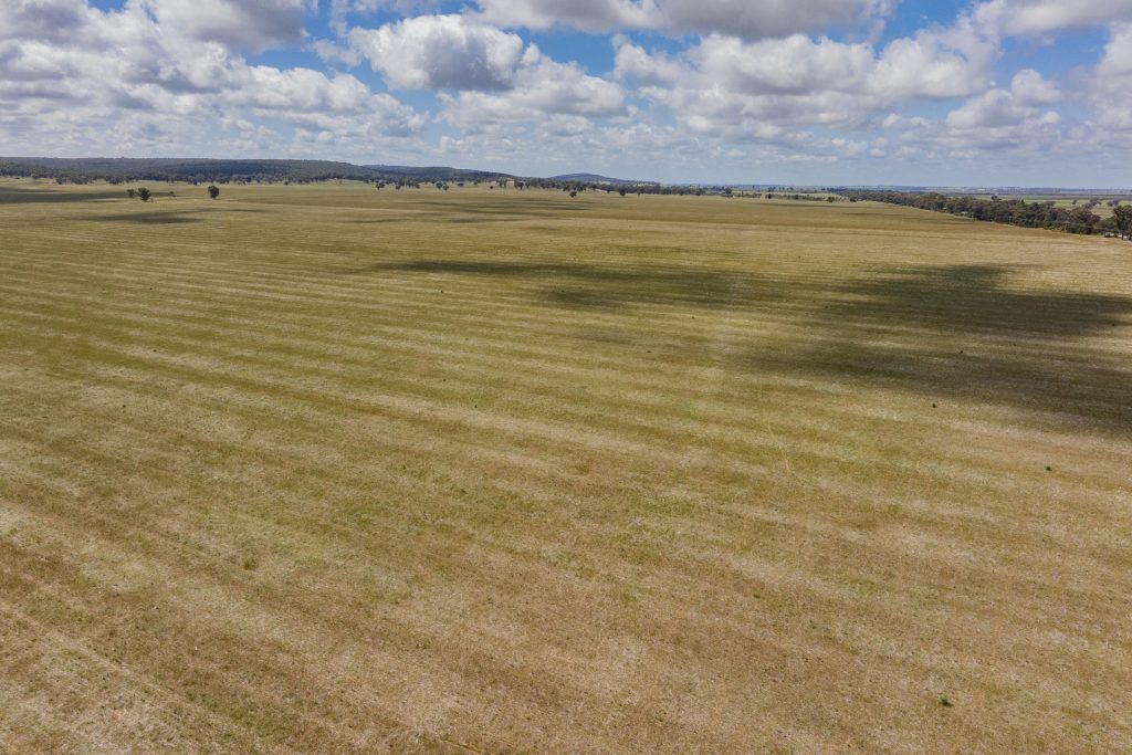 Sold - 869 Newell Highway - New Property in Narrandera - Real Estate by Craig Pellow
