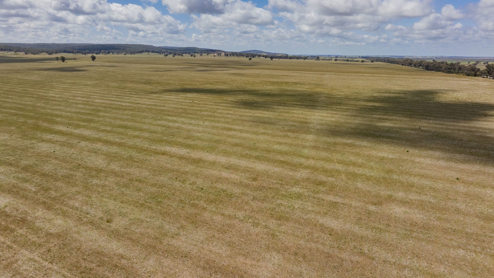 Sold - 869 Newell Highway - New Property in Narrandera - Real Estate by Craig Pellow