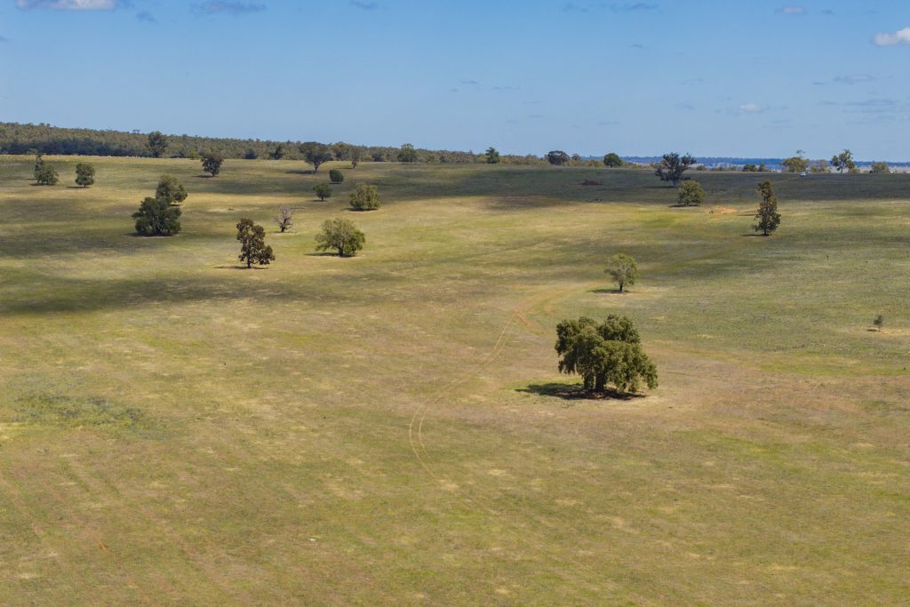 Sold - 869 Newell Highway - New Property in Narrandera - Real Estate by Craig Pellow
