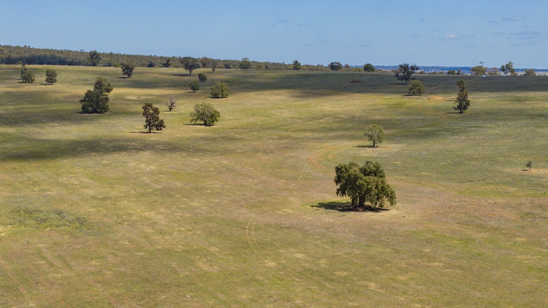 Sold - 869 Newell Highway - New Property in Narrandera - Real Estate by Craig Pellow