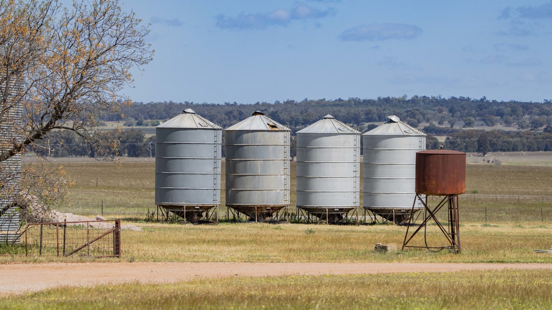 Sold - 869 Newell Highway - New Property in Narrandera - Real Estate by Craig Pellow