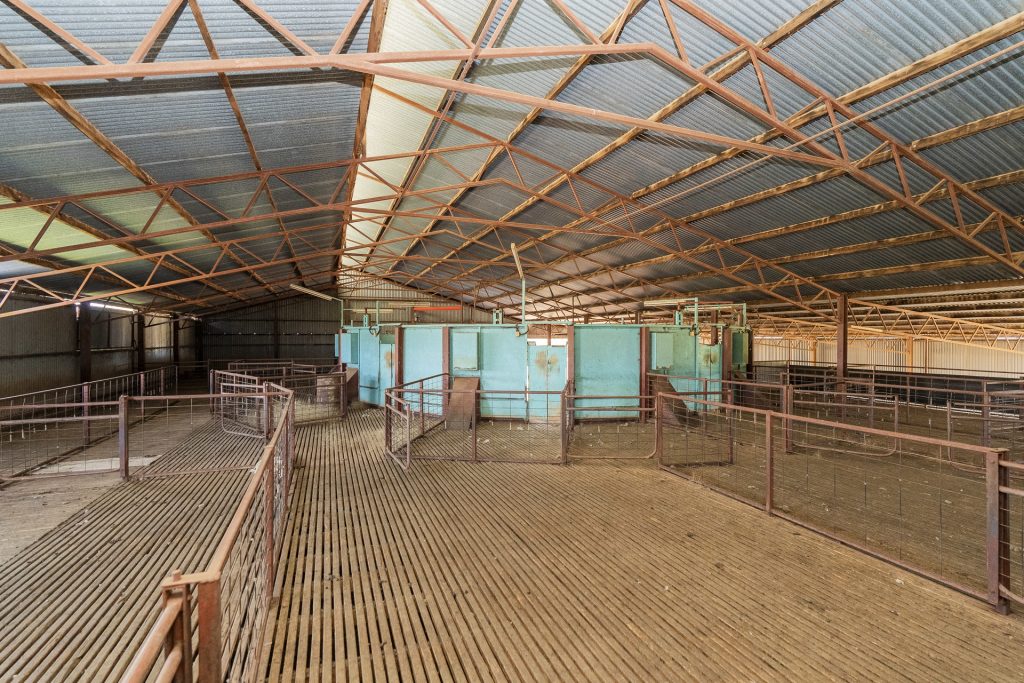 Sold - 869 Newell Highway - New Property in Narrandera - Real Estate by Craig Pellow