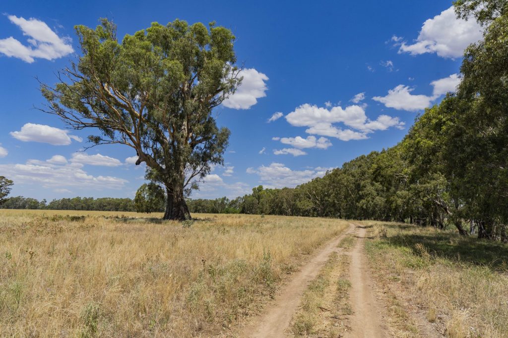 Sold - Lot 2 Newell Highway - New Property in Grong Grong - Real Estate by Craig Pellow