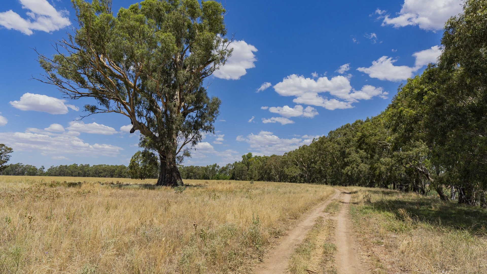 Sold - Lot 2 Newell Highway - New Property in Grong Grong - Real Estate by Craig Pellow