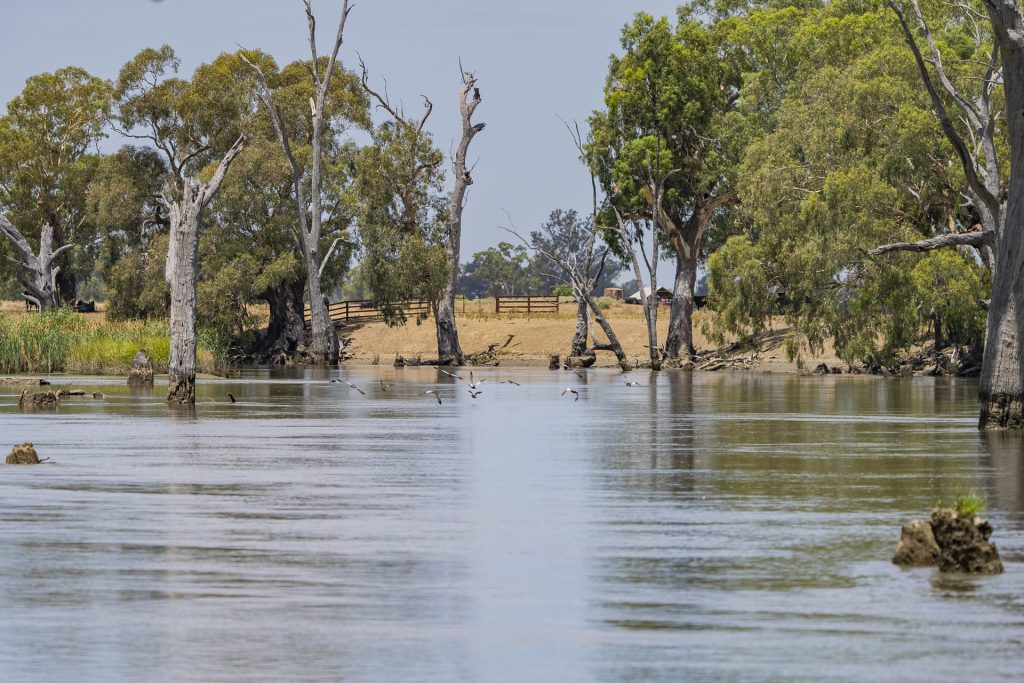 Sold - Lot 2 Newell Highway - New Property in Grong Grong - Real Estate by Craig Pellow