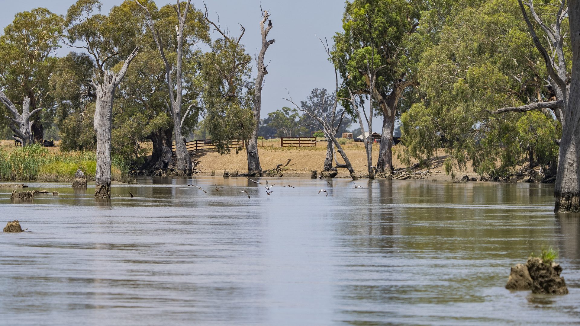 Sold - Lot 2 Newell Highway - New Property in Grong Grong - Real Estate by Craig Pellow