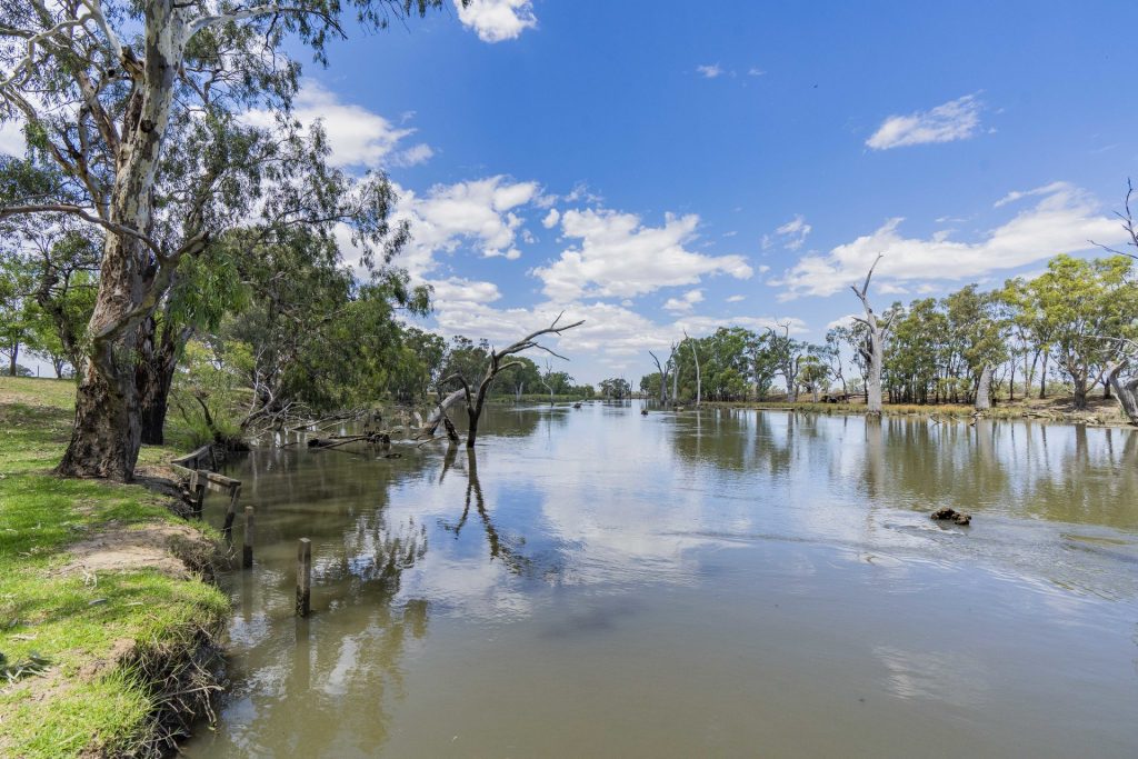 Sold - Lot 2 Newell Highway - New Property in Grong Grong - Real Estate by Craig Pellow