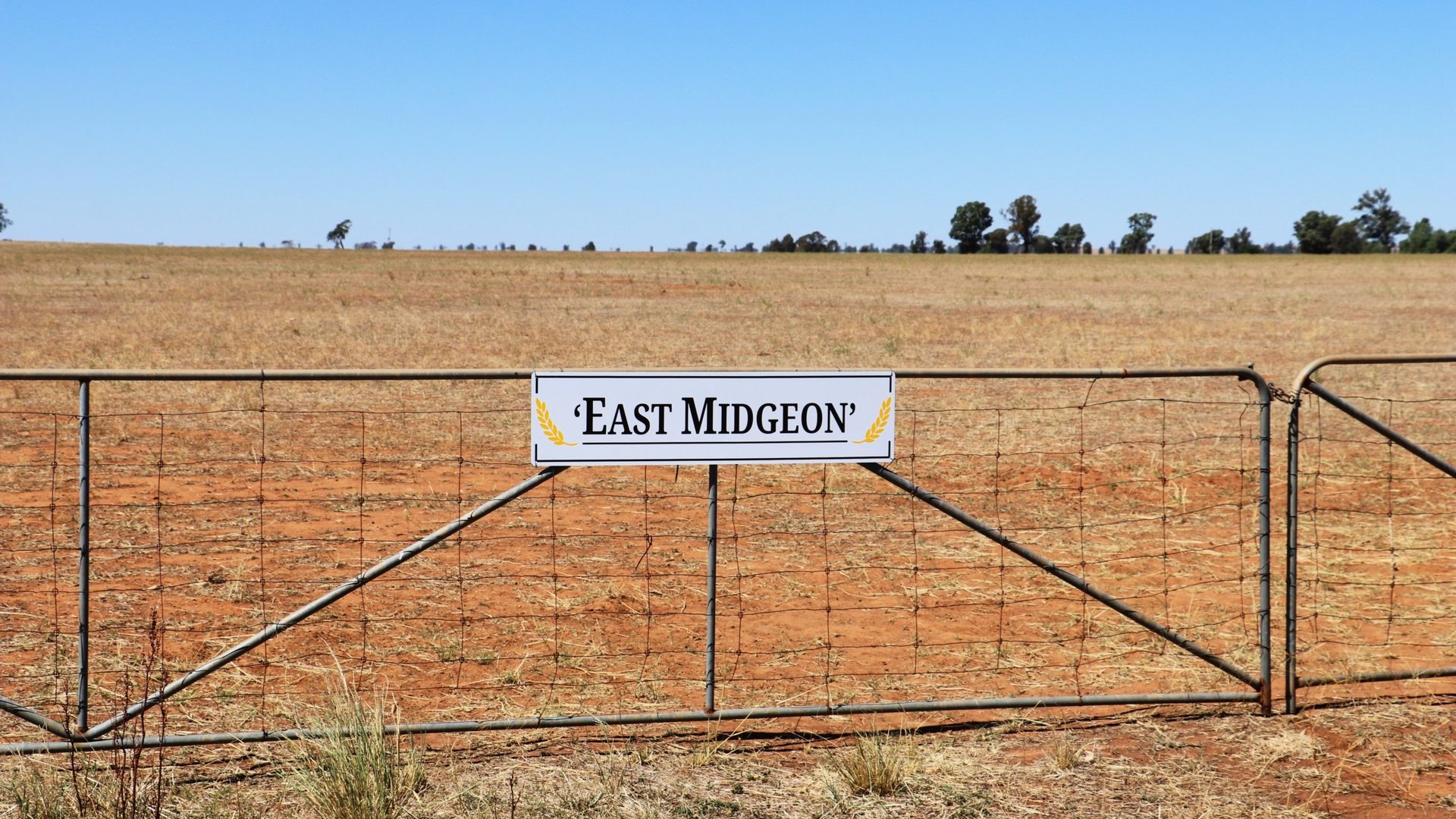 For Sale - 15 Powells Road - New Property in Grong Grong - Real Estate by Craig Pellow
