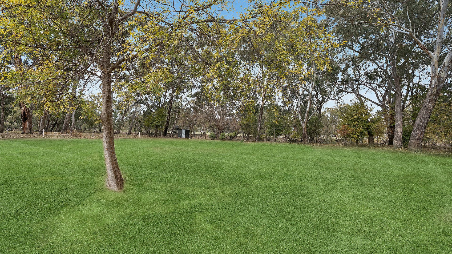 For Sale - 88-90 Lizard Drive - New Property in Narrandera - Real Estate by Leisa Williams