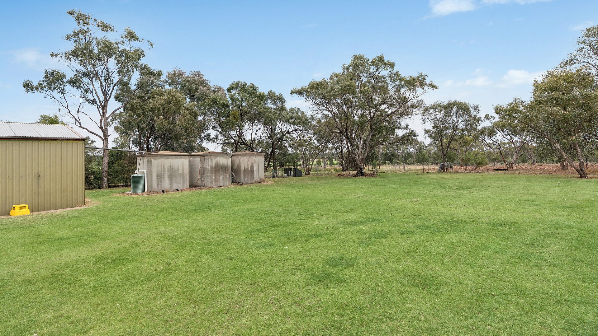 Sold - 340 Carbone Road - New Property in Leeton - Real Estate by Sophie Litchfield