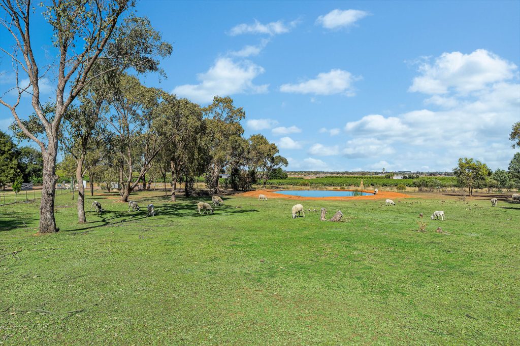 Sold - 274 Carbone Road - New Property in Leeton - Real Estate by Julie Valenzisi