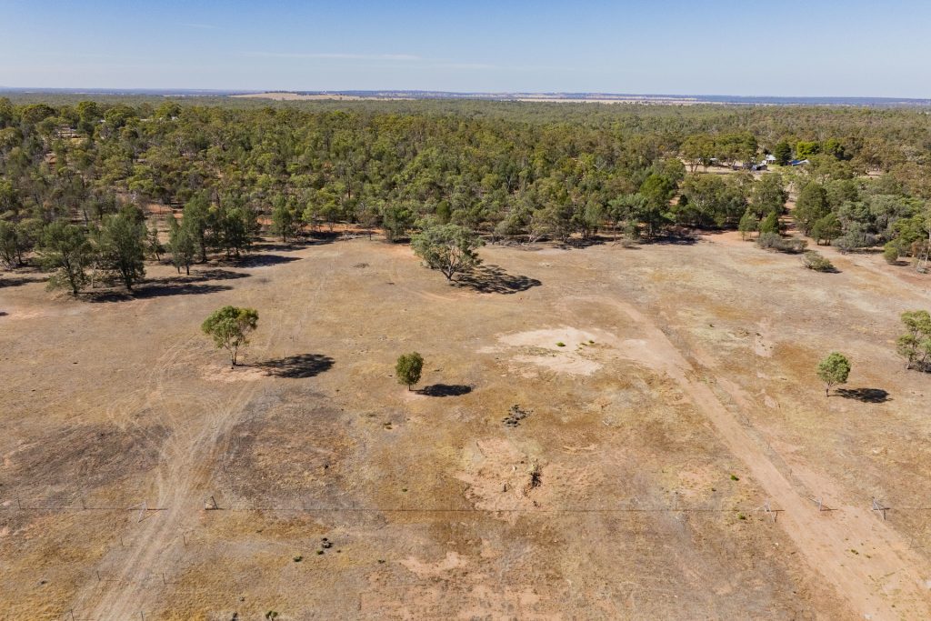 For Sale -  Pine Hill Road - New Property in Narrandera - Real Estate by Leisa Williams