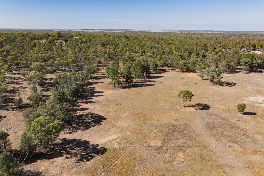For Sale -  Pine Hill Road - New Property in Narrandera - Real Estate by Leisa Williams