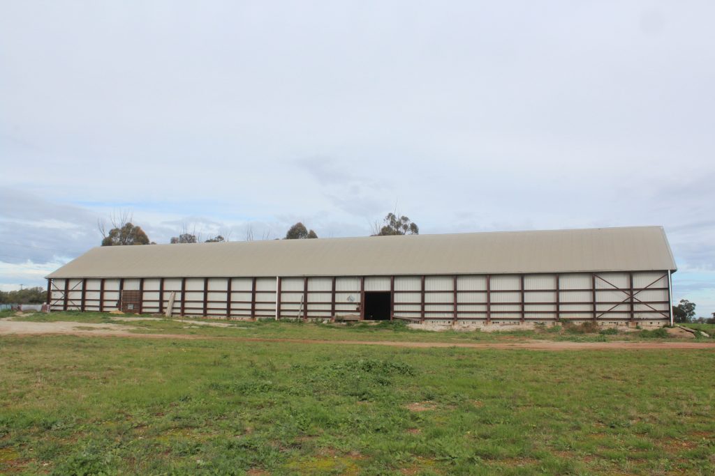 Sold - 67 Campbells Road - New Property in Narrandera - Real Estate by Jason Haines