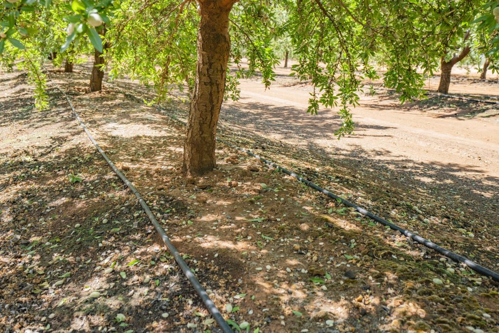 For Sale - 2128 Coughlan Road - New Property in Leeton - Real Estate by Jason Haines