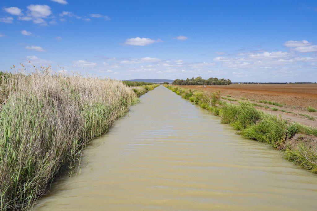 For Sale - 2128 Coughlan Road - New Property in Leeton - Real Estate by Jason Haines