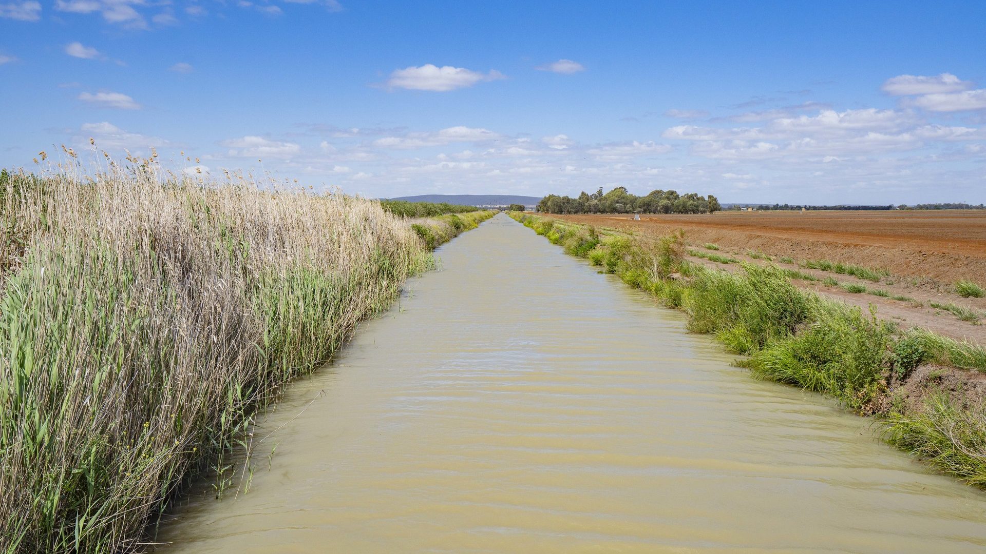 For Sale - 2128 Coughlan Road - New Property in Leeton - Real Estate by Jason Haines