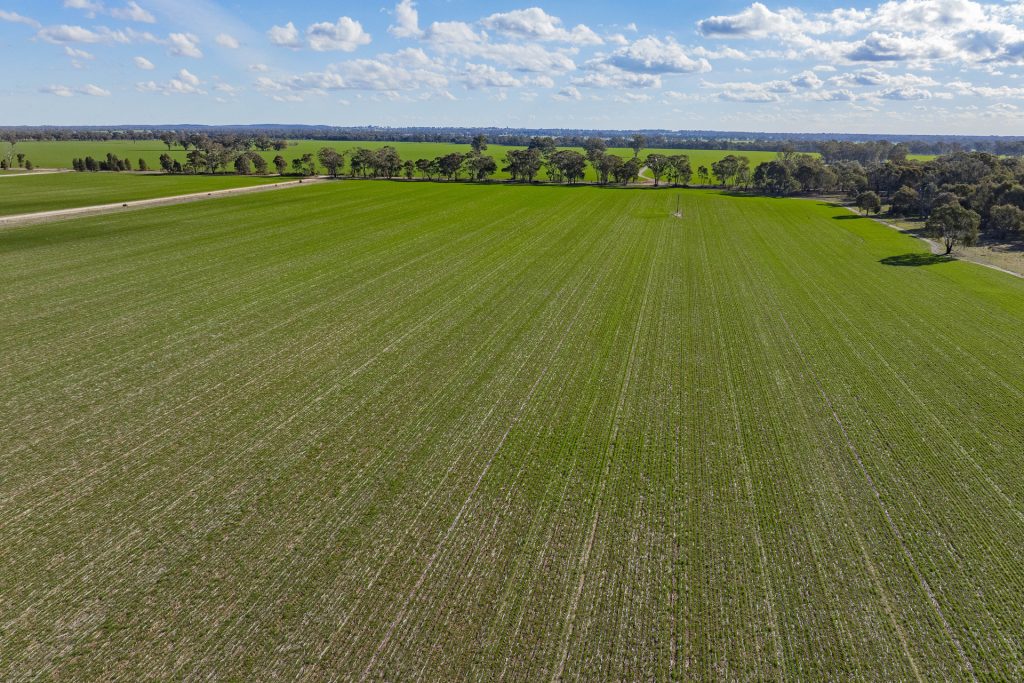 Sold - 182 Fishers Lane - New Property in Temora - Real Estate by Lachlan Pellow