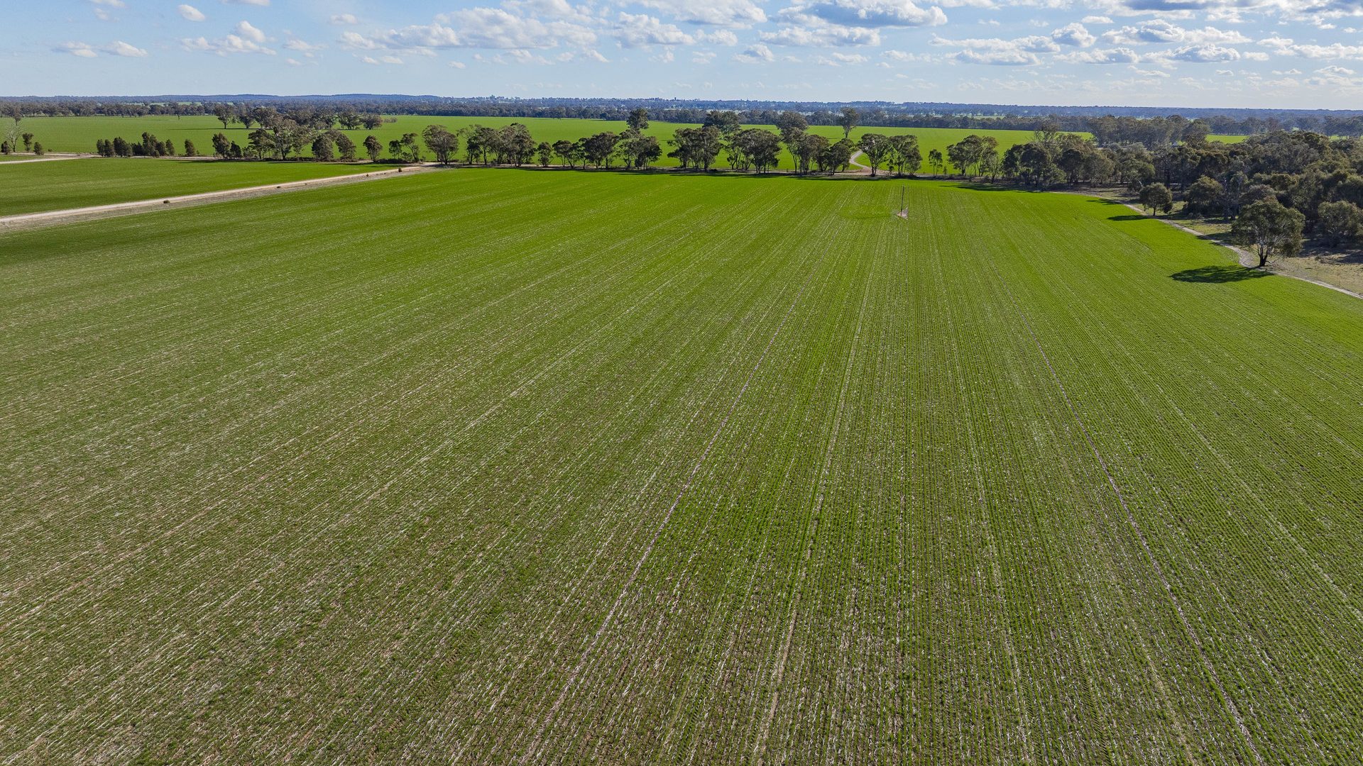 Sold - 182 Fishers Lane - New Property in Temora - Real Estate by Lachlan Pellow