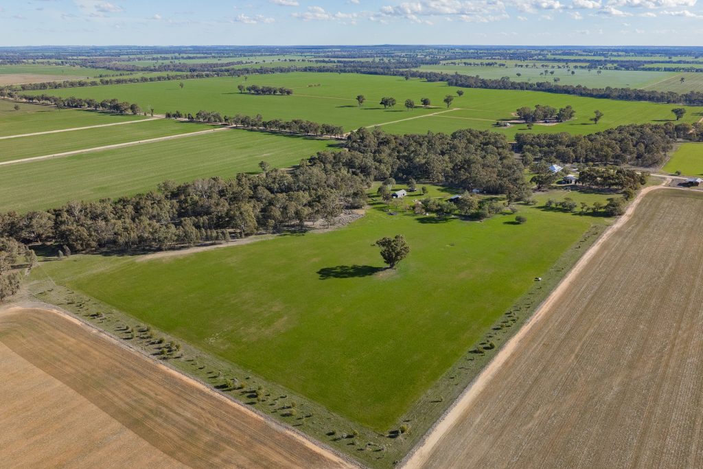 Sold - 182 Fishers Lane - New Property in Temora - Real Estate by Lachlan Pellow