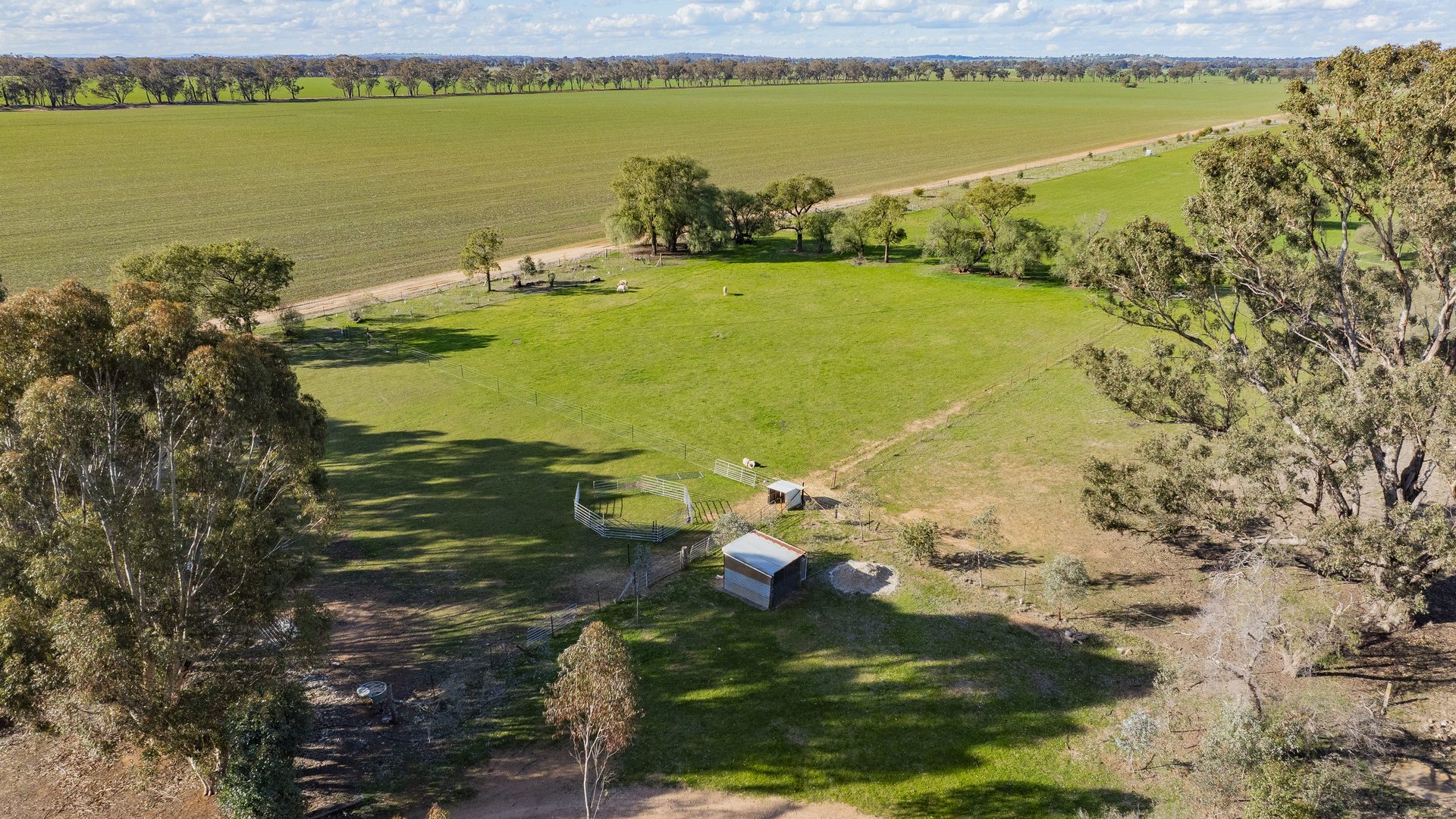 Sold - 182 Fishers Lane - New Property in Temora - Real Estate by Lachlan Pellow
