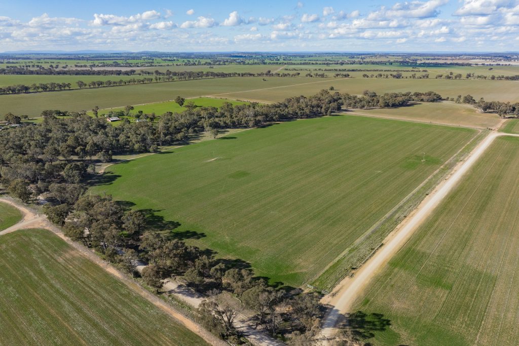 Sold - 182 Fishers Lane - New Property in Temora - Real Estate by Lachlan Pellow