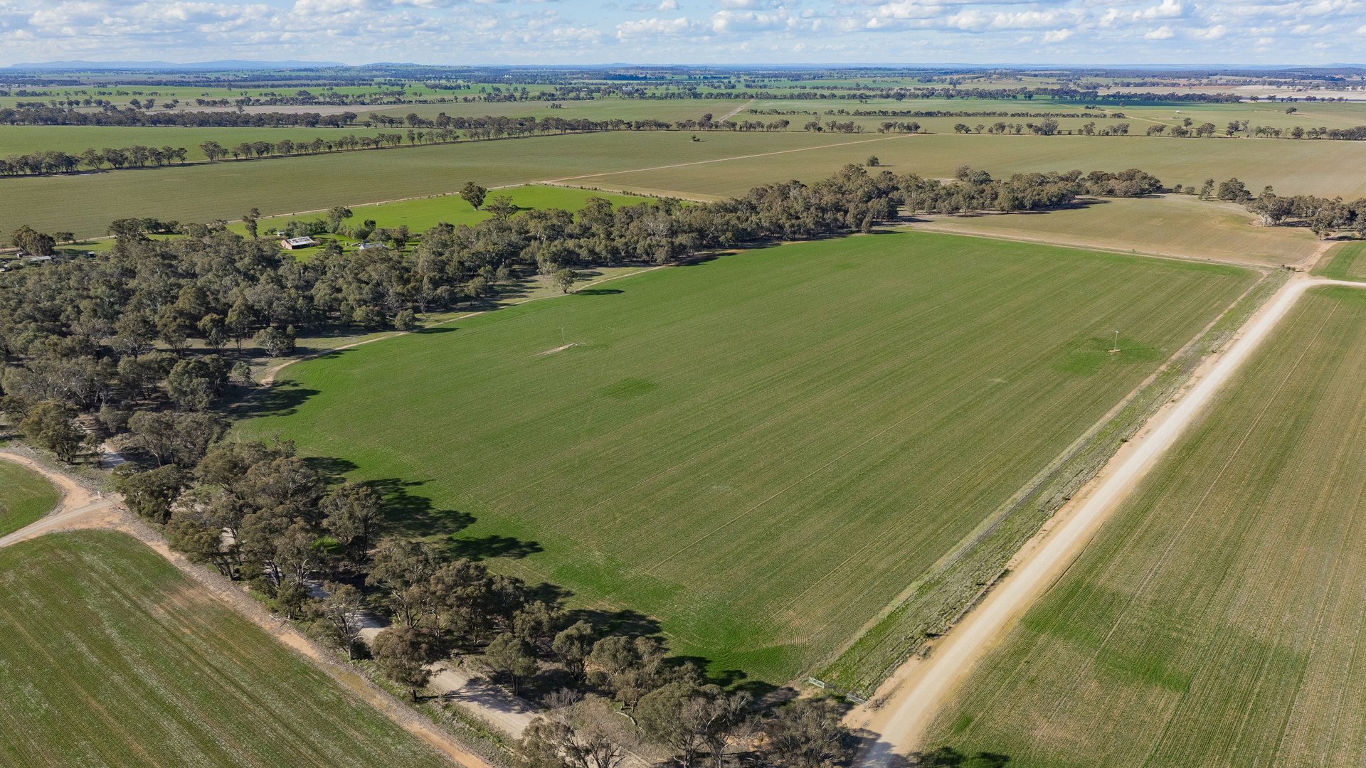 Sold - 182 Fishers Lane - New Property in Temora - Real Estate by Lachlan Pellow