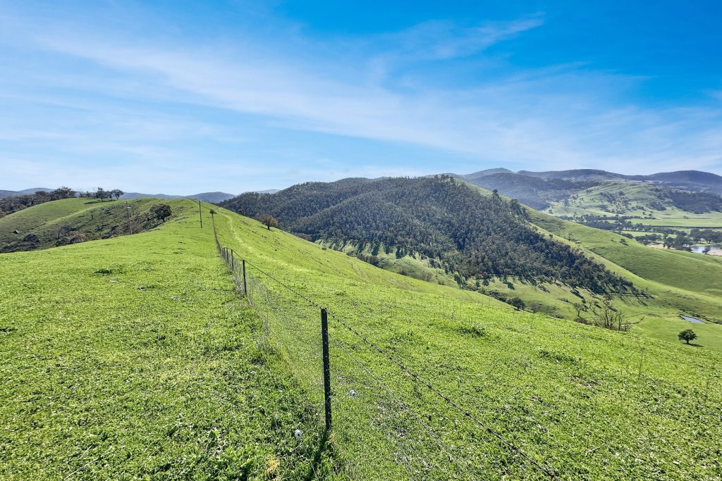 For Sale - 5114 River Road - New Property in Jingellic - Real Estate by Jason Haines