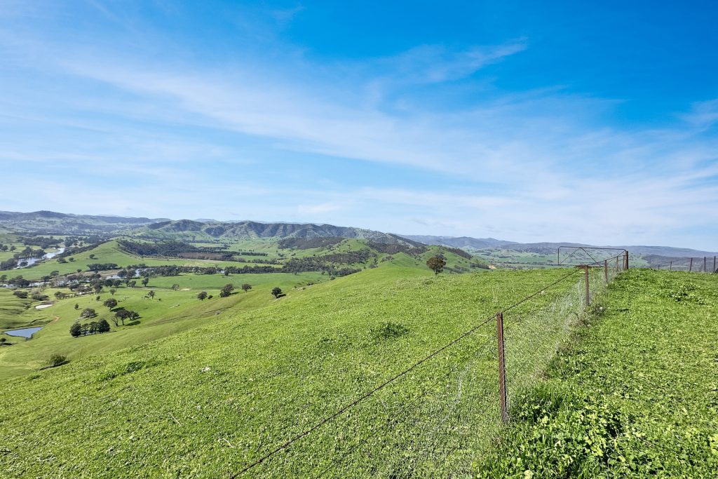 For Sale - 5114 River Road - New Property in Jingellic - Real Estate by Jason Haines