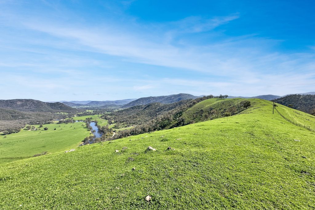 For Sale - 5114 River Road - New Property in Jingellic - Real Estate by Jason Haines