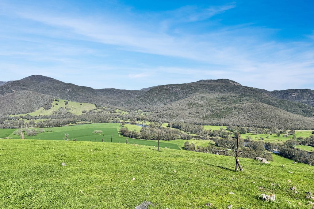 For Sale - 5114 River Road - New Property in Jingellic - Real Estate by Jason Haines
