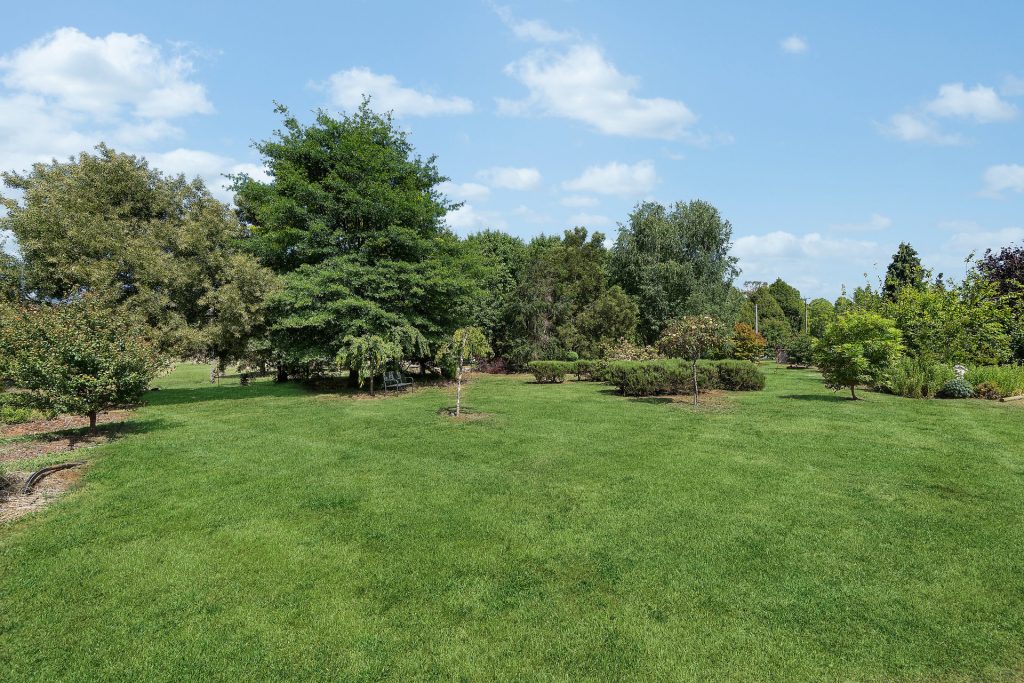 For Sale - 107 Mill Road - New Property in Batlow - Real Estate by Andrew Pellow