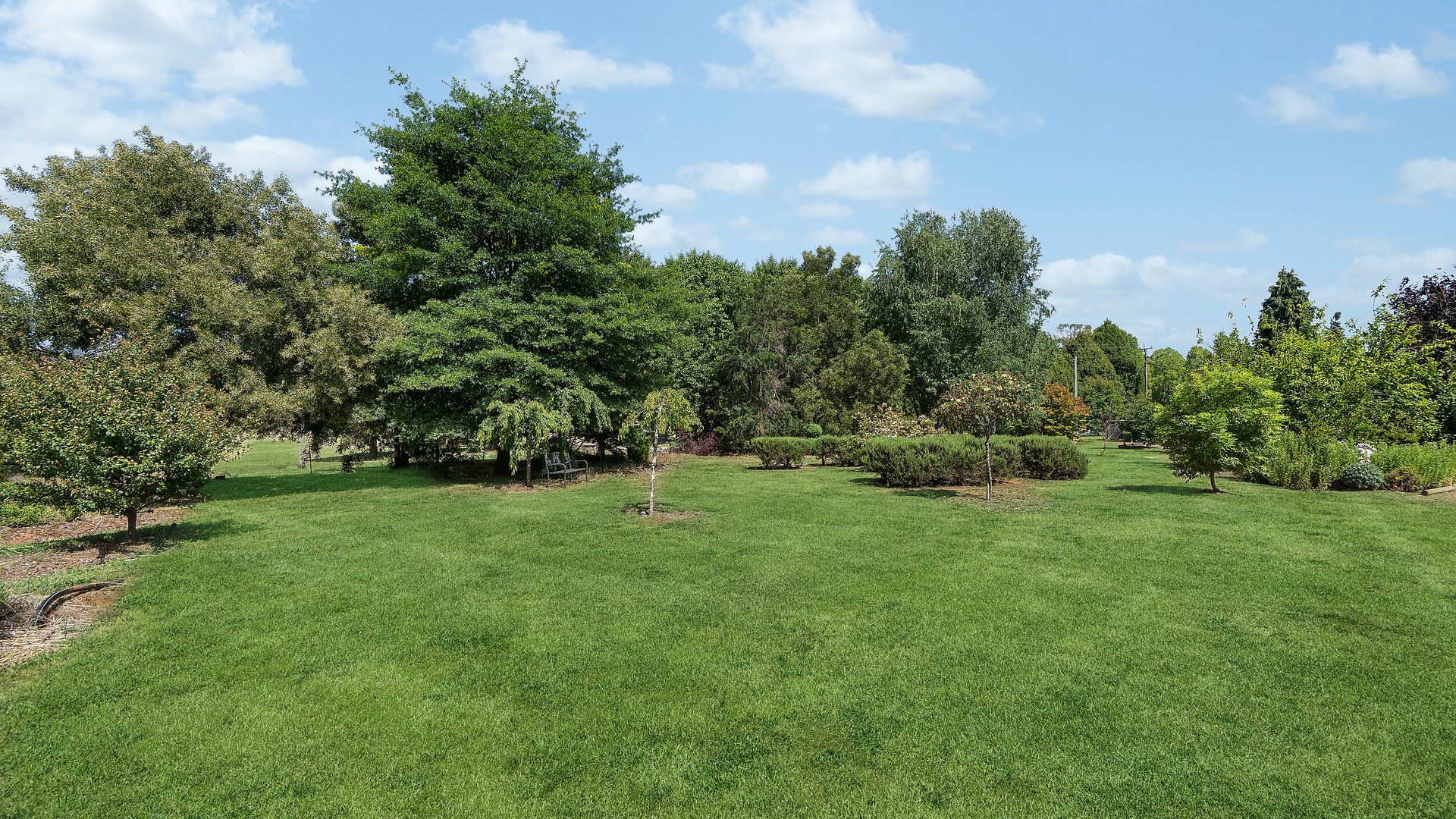 For Sale - 107 Mill Road - New Property in Batlow - Real Estate by Andrew Pellow
