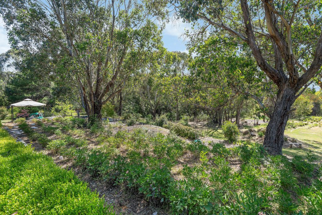 For Sale - 107 Mill Road - New Property in Batlow - Real Estate by Andrew Pellow