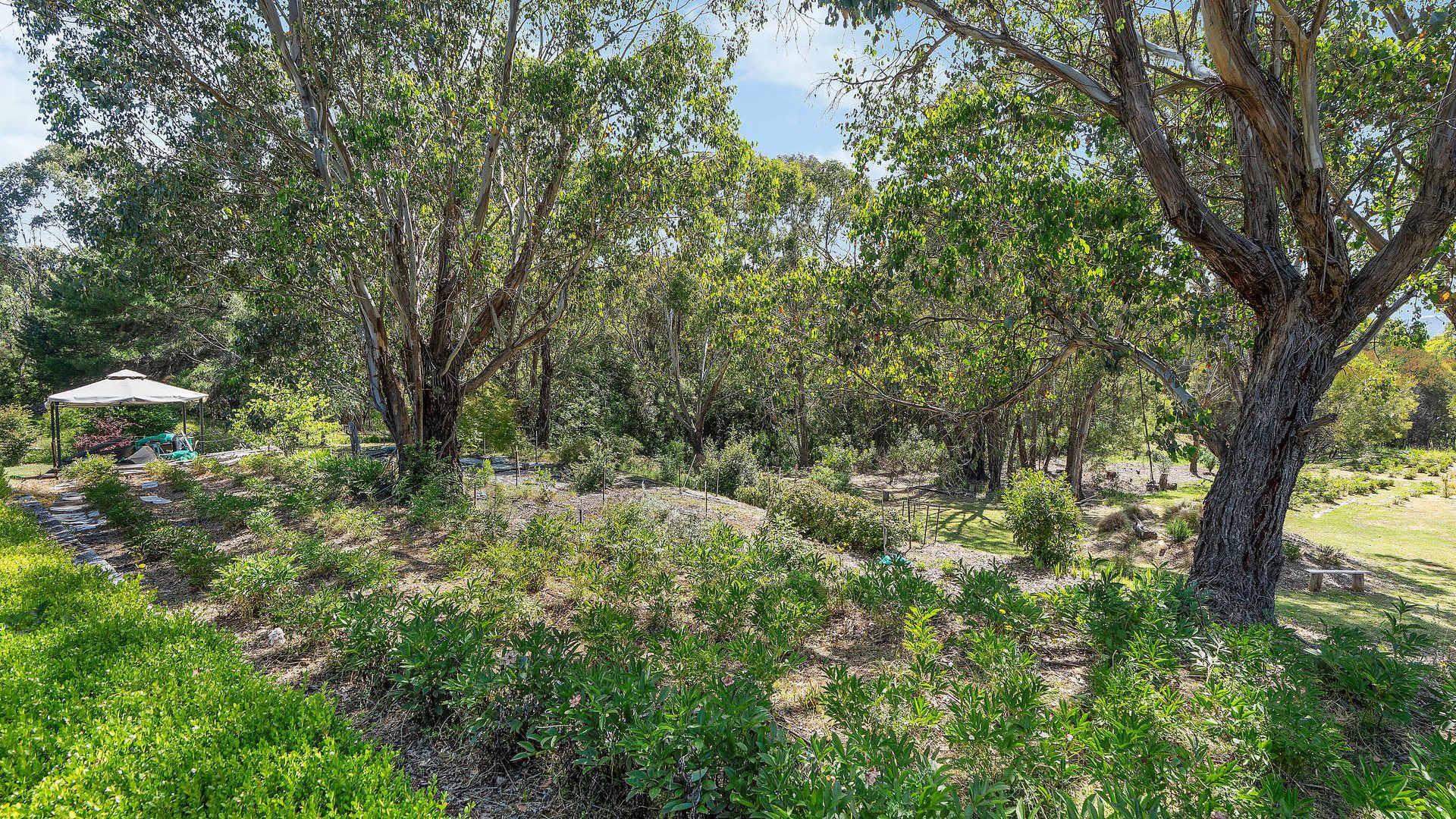For Sale - 107 Mill Road - New Property in Batlow - Real Estate by Andrew Pellow