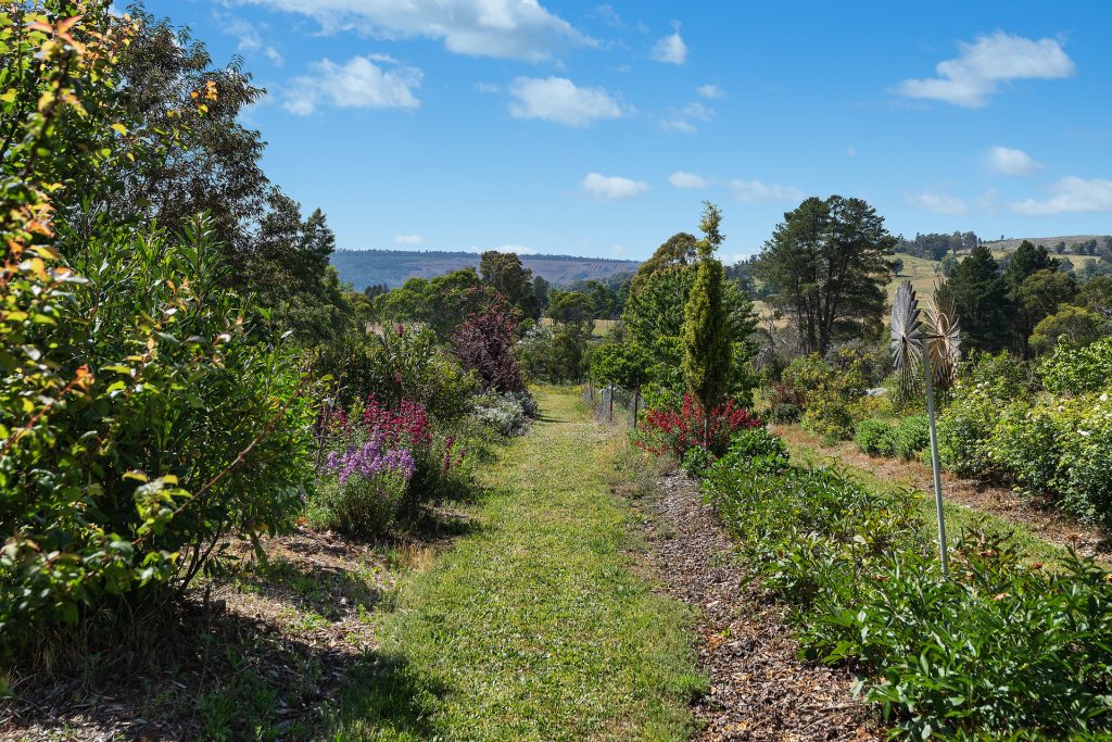 For Sale - 107 Mill Road - New Property in Batlow - Real Estate by Andrew Pellow