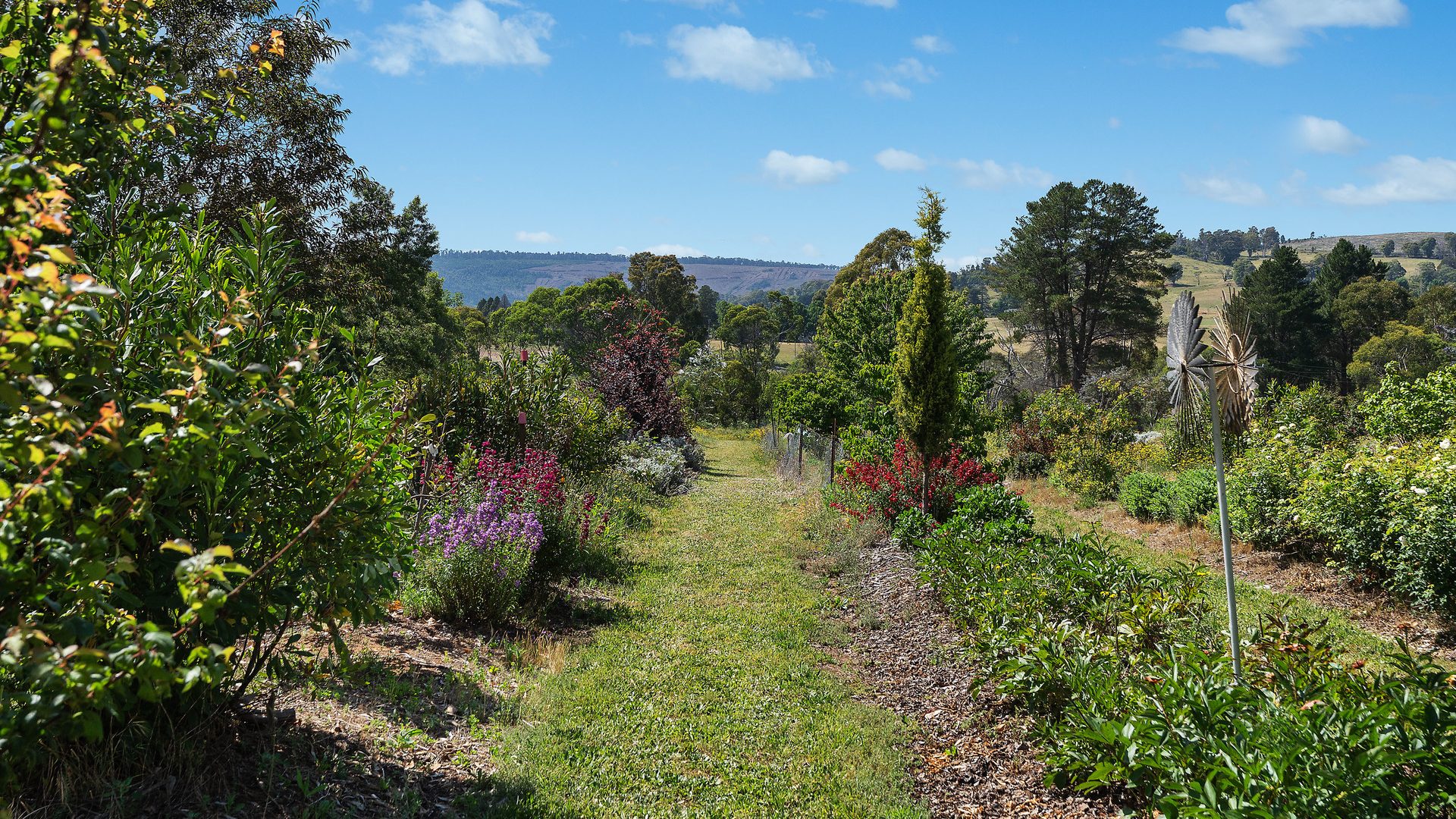 For Sale - 107 Mill Road - New Property in Batlow - Real Estate by Andrew Pellow