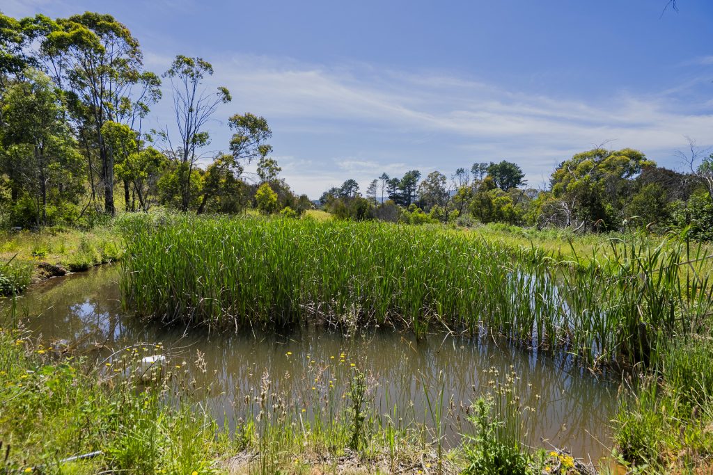 For Sale - 107 Mill Road - New Property in Batlow - Real Estate by Andrew Pellow