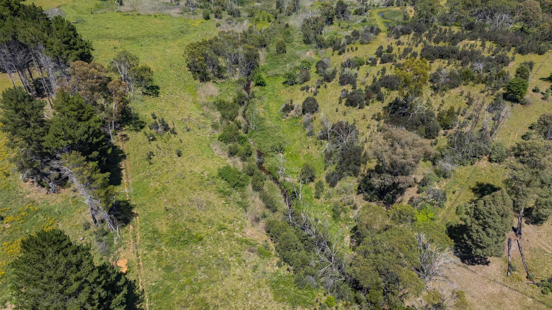 For Sale - 107 Mill Road - New Property in Batlow - Real Estate by Andrew Pellow